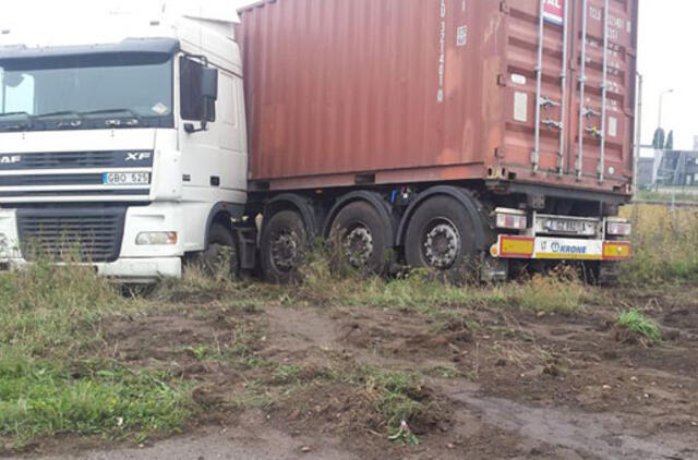 Vilkikas sankryžoje nuvažiavo nuo kelio