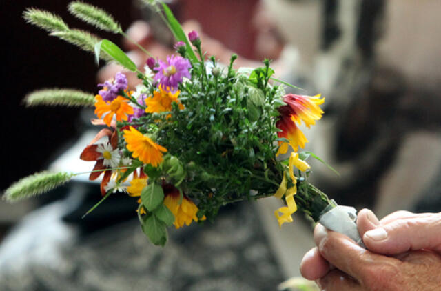 Žolinė kviečia susitikti gimines