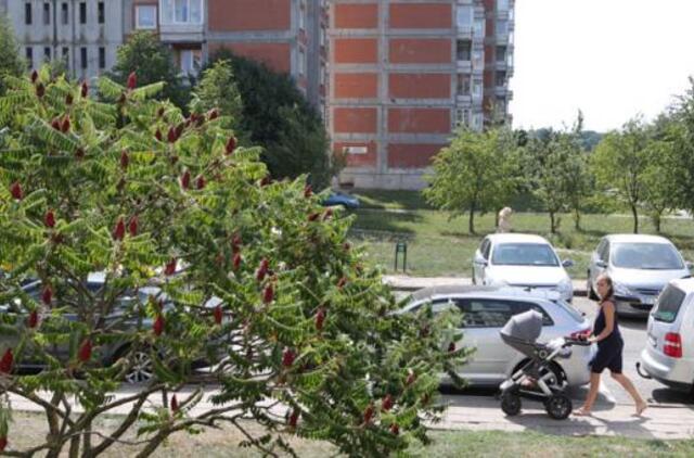 Atvyko laboratorija iš Vilniaus: imami "pirštų atspaudai"