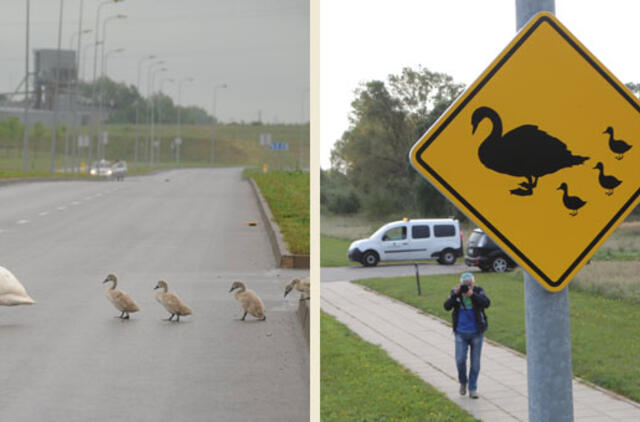 Klaipėdoje įrengti nauji kelio ženklai