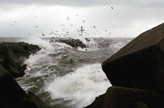 Klaipėdos uoste pamažu atnaujinama laivyba