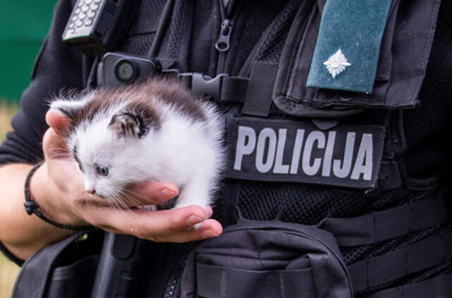 Policija prašo pagalbos - priglausti kačiuką