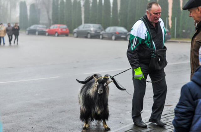Paminėta „Ožio diena“
