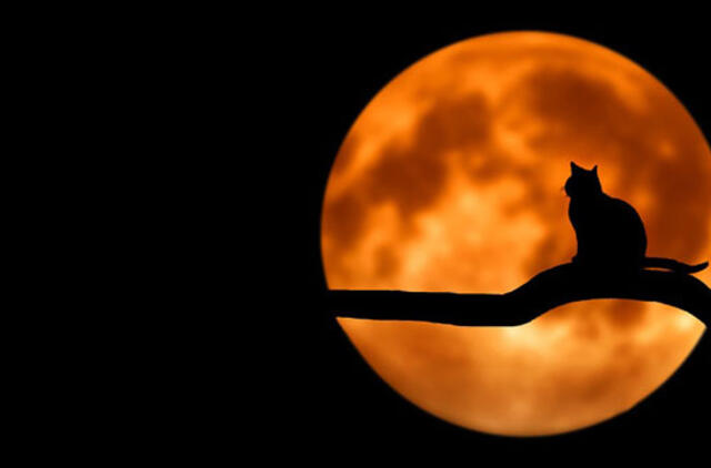 Penktadienio horoskopas 12-ai zodiako ženklų