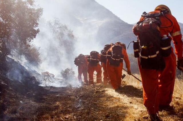 Per miškų gaisrus Kalifornijoje žuvusių žmonių skaičius pasiekė 77