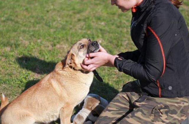 Šiandien namų ieško: Džona