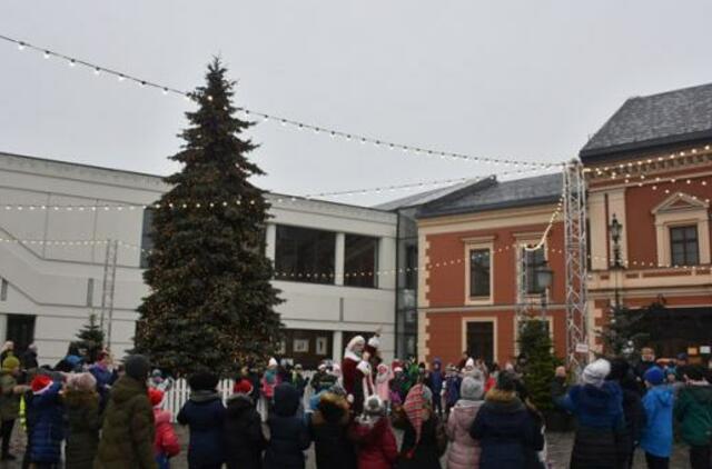 Šventinės eglės paieška dar nesibaigia