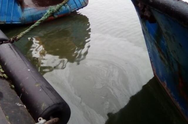 Uoste į vandenį išsiliejo alyva