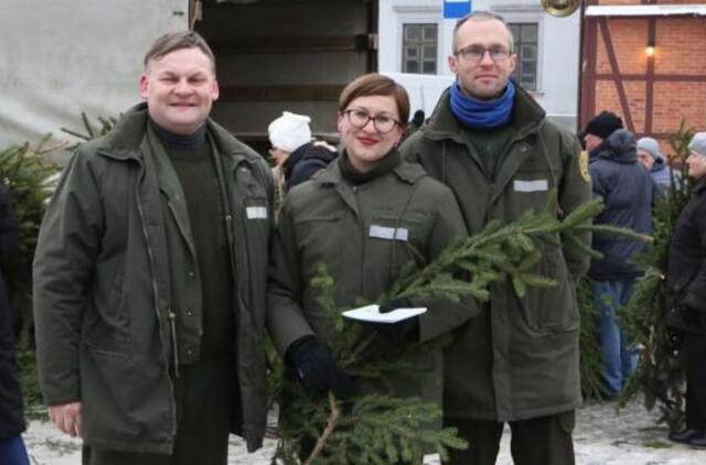 Klaipėdiečiai išgraibstė dovanotas eglių šakas