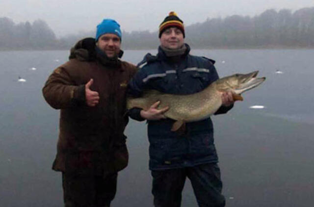 Lipti ant ledo - nesaugu