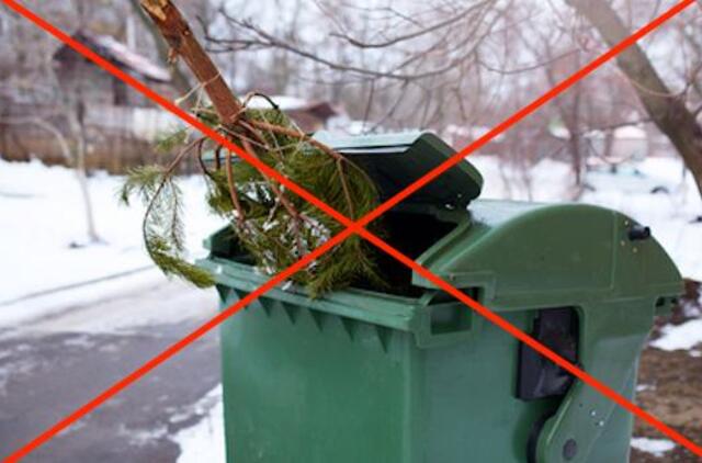 Artėjant Trijų karalių dienai: kur išmesti eglutes?