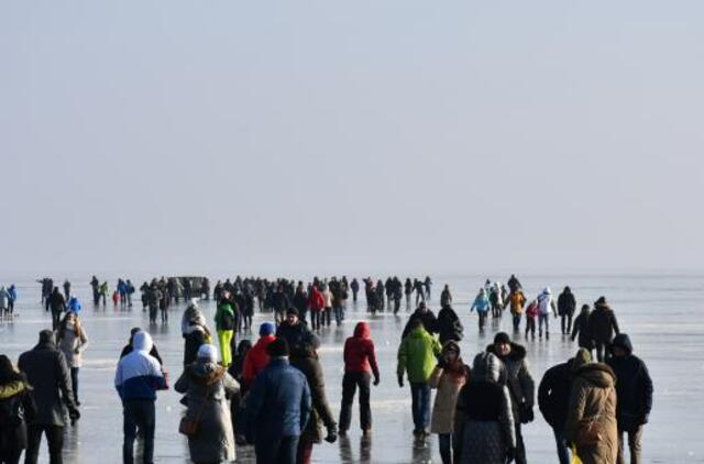 Neringa ruošiasi „Stintapūkio“ šventei