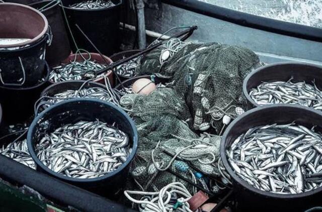 Žvejai džiūgauja ir nerimauja