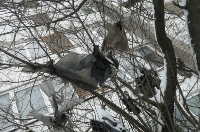 Ant medžių pakibusios šiukšlės atskleidė tamsiąją miesto pusę