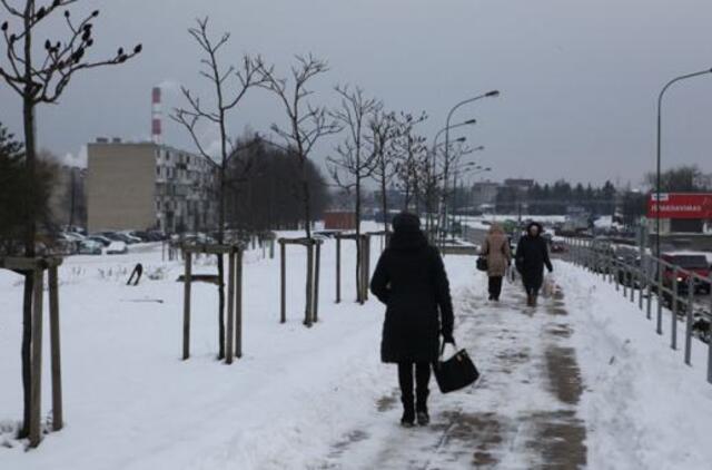 Klaipėdoje nebėra vietos sodinti medžiams?