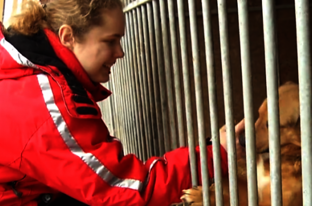 Rasite Klaipėdoje gyvūnui namus – 5 eurai