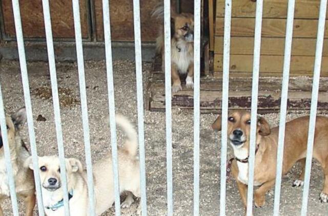 Bus mokama ir už surastus naujus šeimininkus