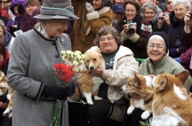 Į kino teatrus atkeliavo juosta „Karalienės korgis“