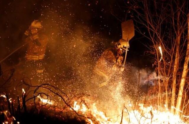 Ispanijos šiaurėje šėlsta miško gaisrai