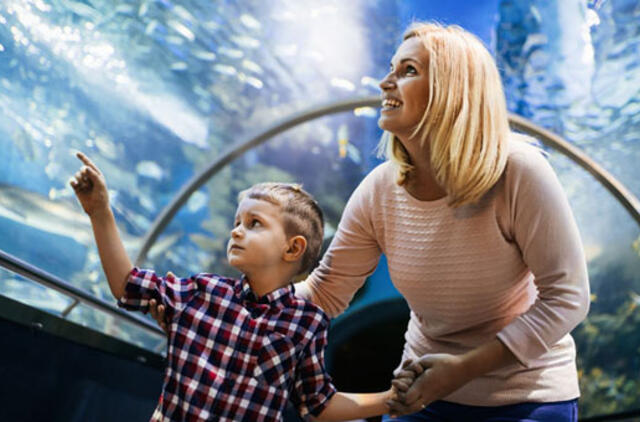 Kaip padėti vaikui saugiai tyrinėti pasaulį?