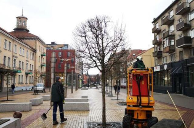 Prasidėjo planiniai miesto tvarkymo darbai