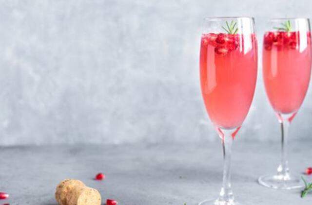 Vaikiško šampano draudimas – laukiama politikų sprendimo