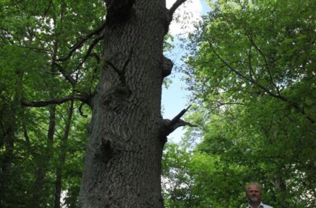 Dėl paminklo karalienei eina kryžiaus kelius