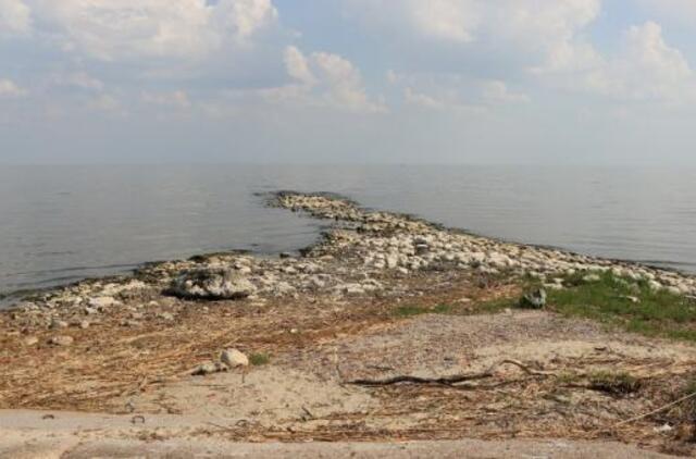 Kuršių mariose – katastrofos grėsmė