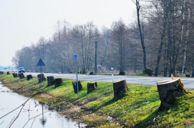 Šilutė-Rusnė kelio stiprinimo darbams - 6,3 mln. eurų