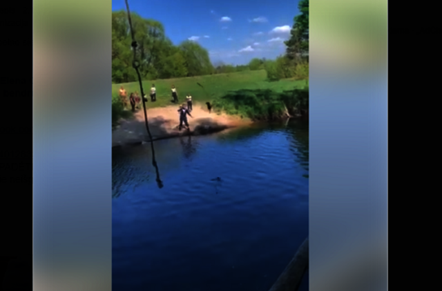 Išvydusios skriaudžiamą gyvūną, iškvietė policiją - pareigūnų reakcija pribloškė