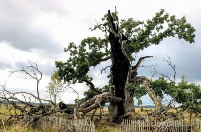 Kuršių slėpiniai - naujame turistiniame gide