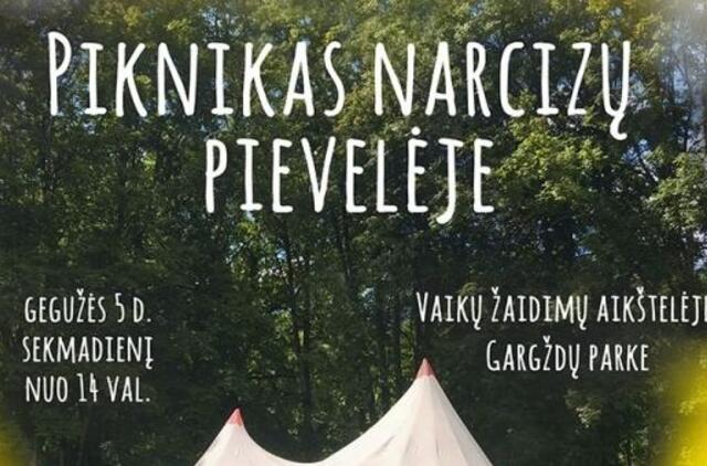 Gargžduose vyks piknikas narcizų pievelėje