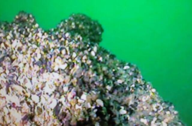 Prie Klaipėdos uosto vartų aptiko ir sunaikino miną