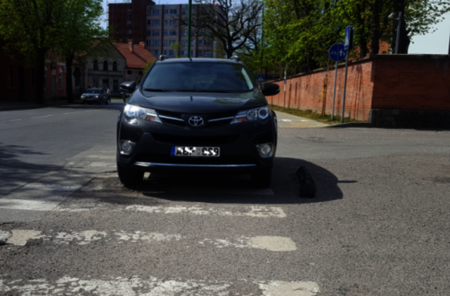 Vakarų Lietuvos automobilių statymo ypatumai