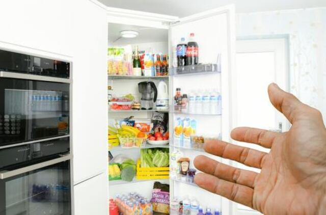 Naujas šaldytuvas: 4 žingsniai, kaip išsirinkti tinkamiausią