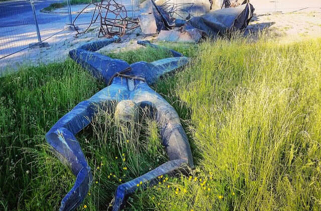 Nerimo banga dėl "Plaukikų" nepagrįsta?