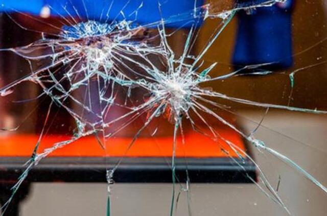 Piktas vyras sudaužė Užimtumo tarnybos langą