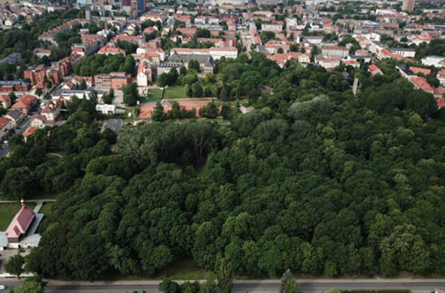 Klaipėdos skulptūrų parke grius 500 medžių