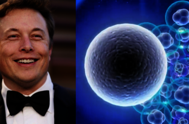 Elonas Muskas apie kompiuterio ir smegenų tiesioginę sąsają