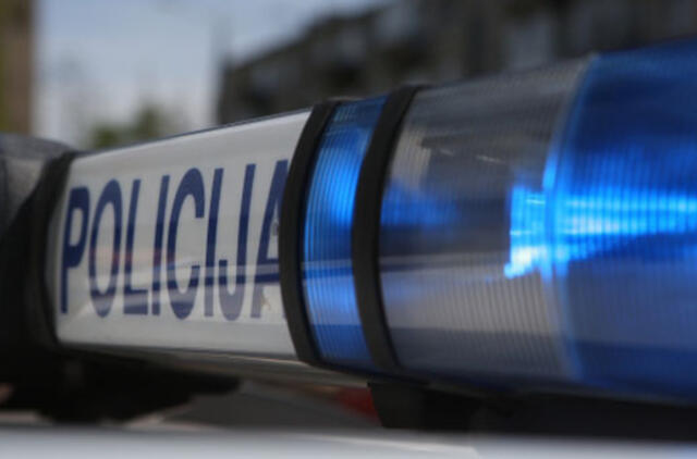 Vagys gvelbė ir pinigus, ir medieną