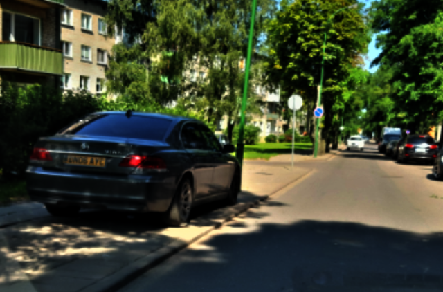Vakarų Lietuvos automobilių statymo ypatumai