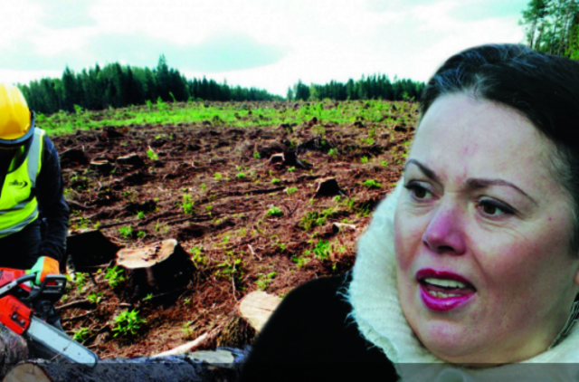 Yra medis, atsiras ir pjūklas