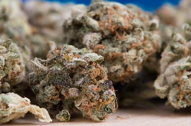 Festivalyje Kairių g. įkliuvo dar du narkotikų turėję asmenys