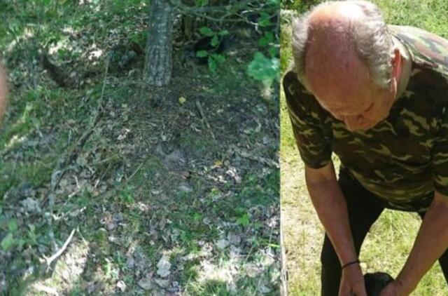 Klaikus radinys miške prie Plungės pašiurpino