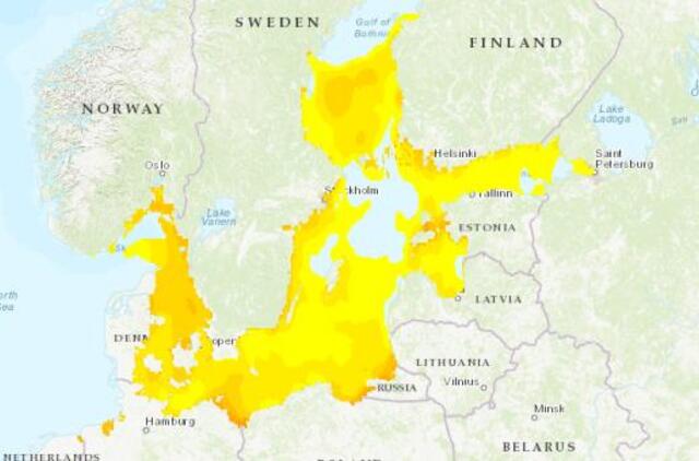 Klaipėdos paplūdimiuose Vibrio bakterijos nerado