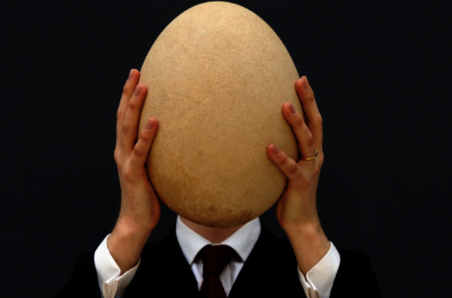 Smegenų evoliucija ir degradacija. Kitas požiūris