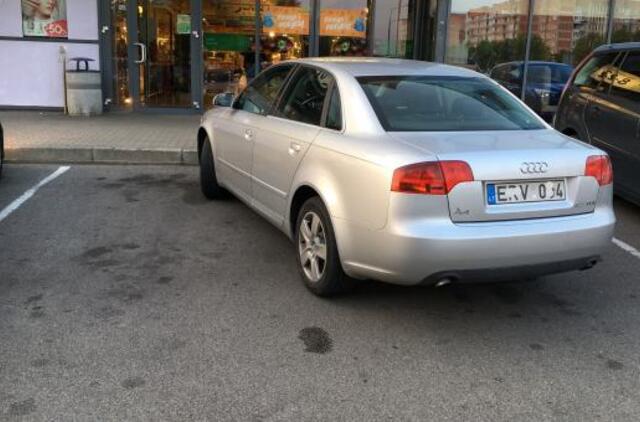 Vakarų Lietuvos automobilių statymo ypatumai