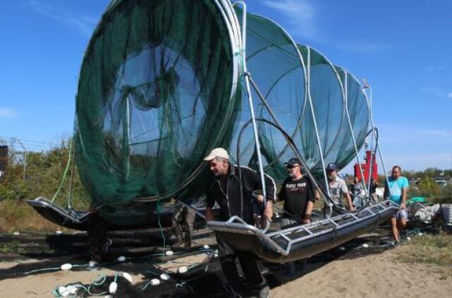 Žvejų ir ruonių kare išbandomas naujas "ginklas"