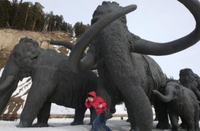 Gamtos galvosūkiai, kurių mokslas neišsprendžia