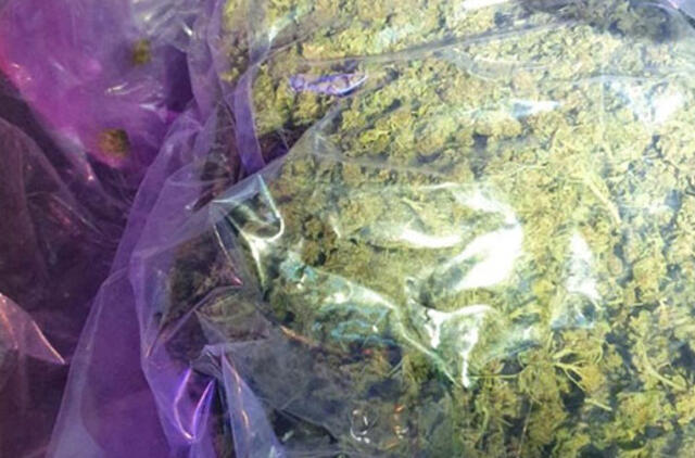 Sustabdytame automobilyje - kilogramas "žolės"